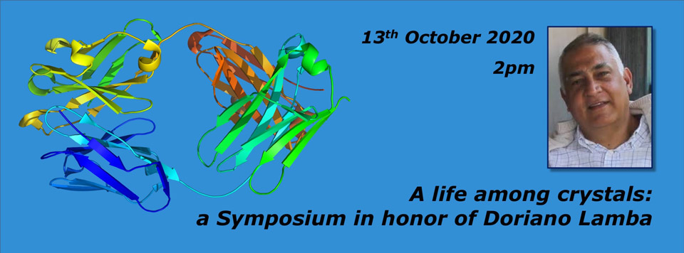 A life among crystals: a Symposium in honor of Doriano Lamba